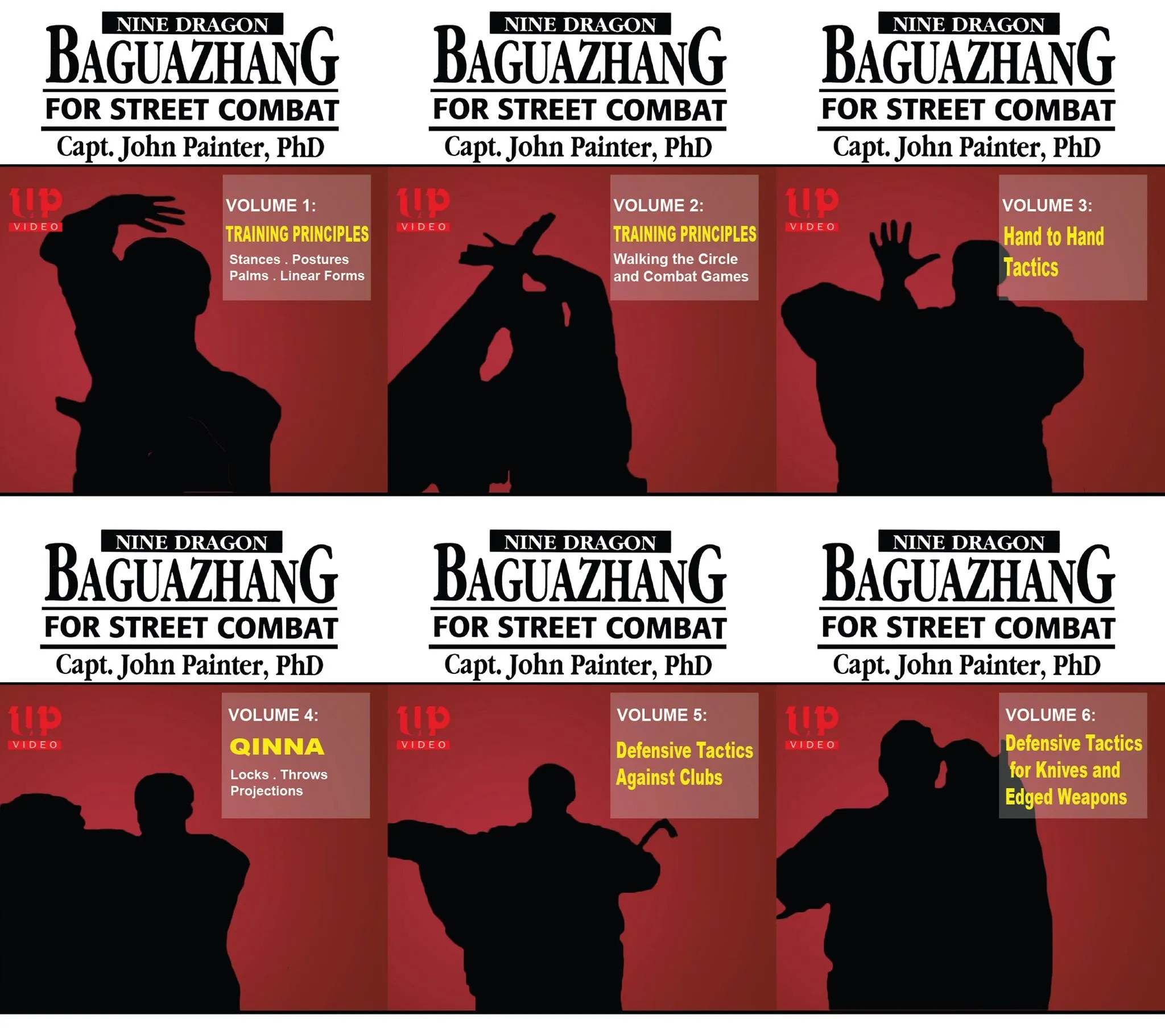 Baguazhang For Street Combat 6 DVD Set with John Painter