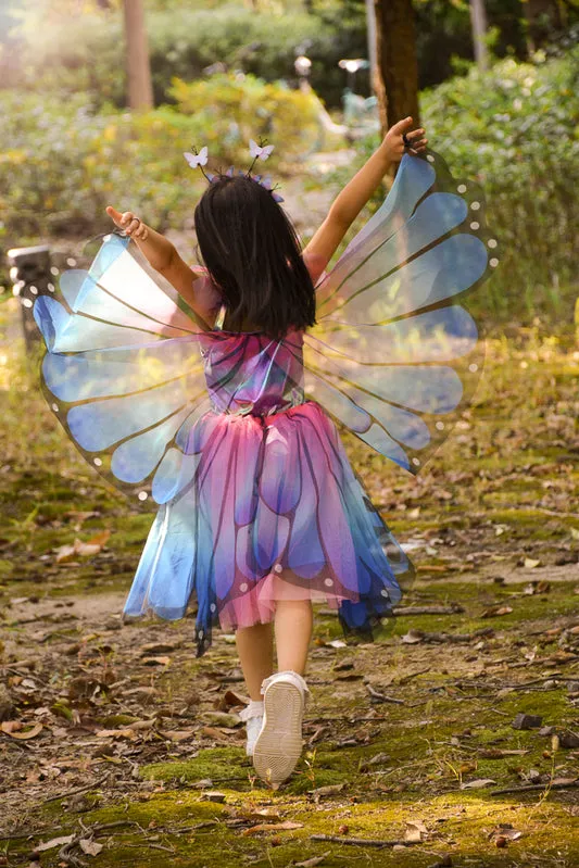 Butterfly Twirl Dress & Wings