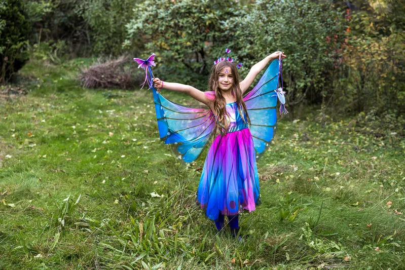 Butterfly Twirl Dress & Wings