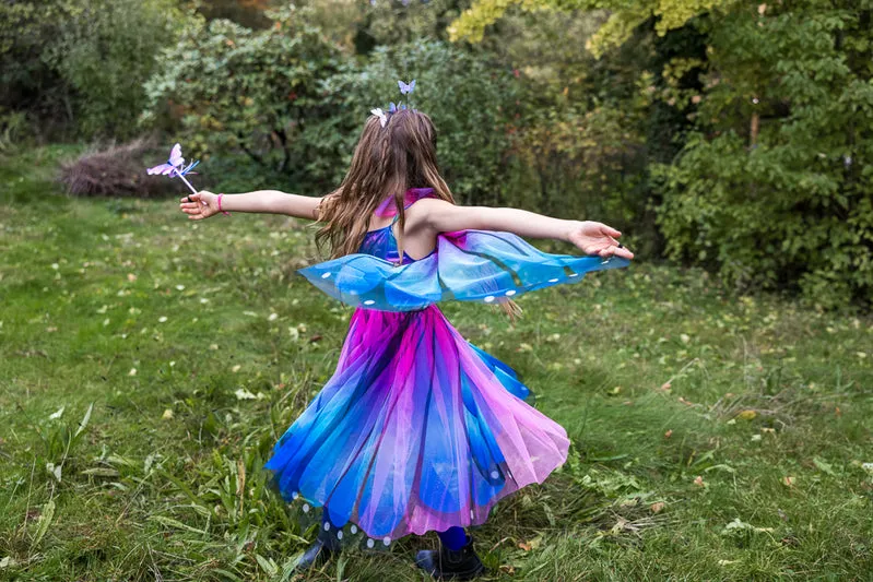 Butterfly Twirl Dress & Wings