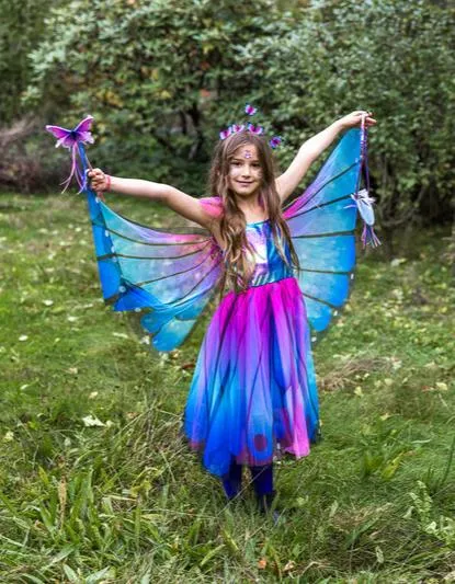 Butterfly Twirl Dress & Wings