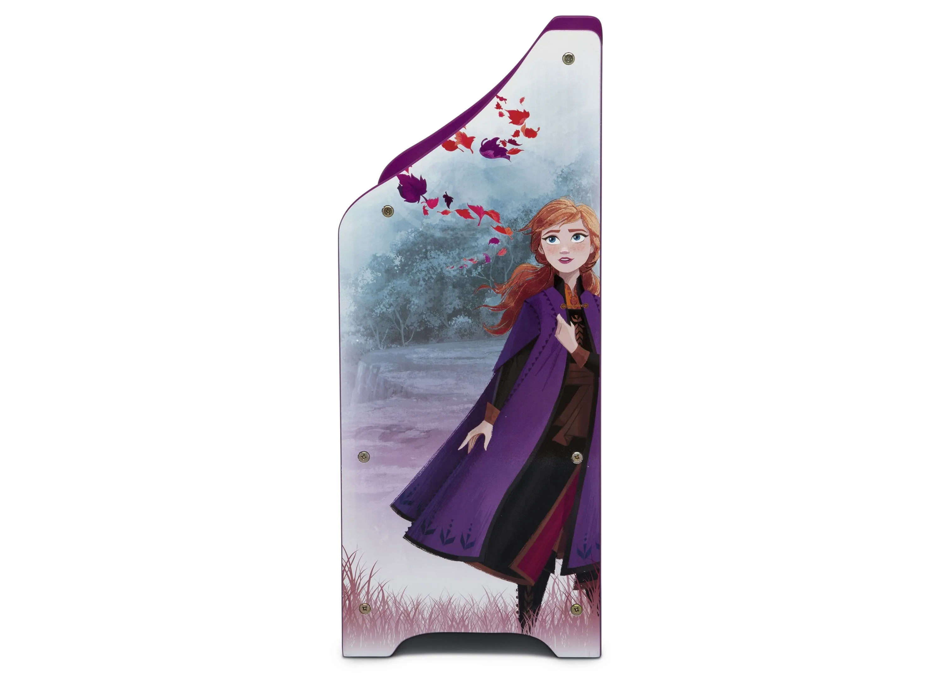 Frozen II Toy and Book Organizer