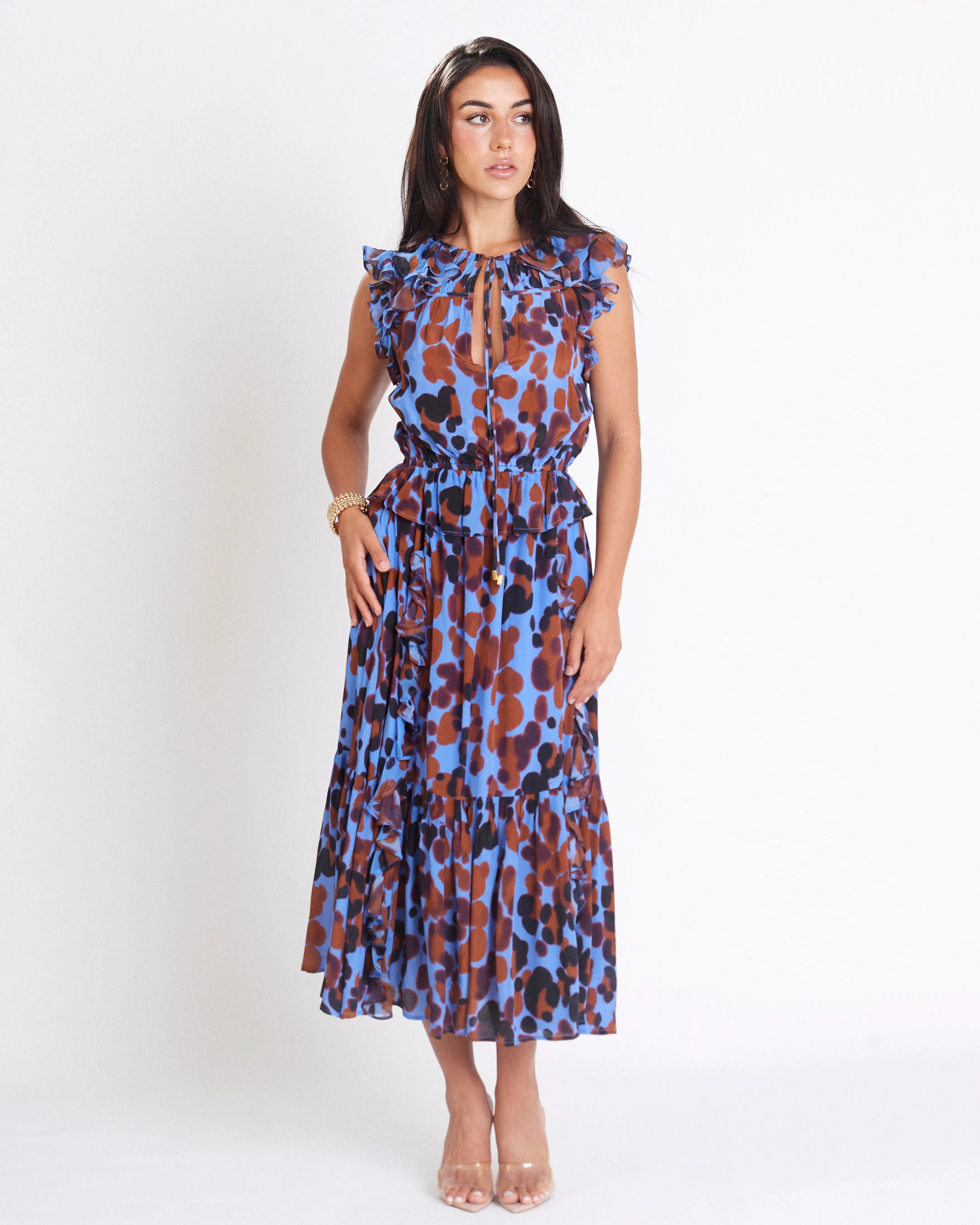 Karolina Print Midi Dress