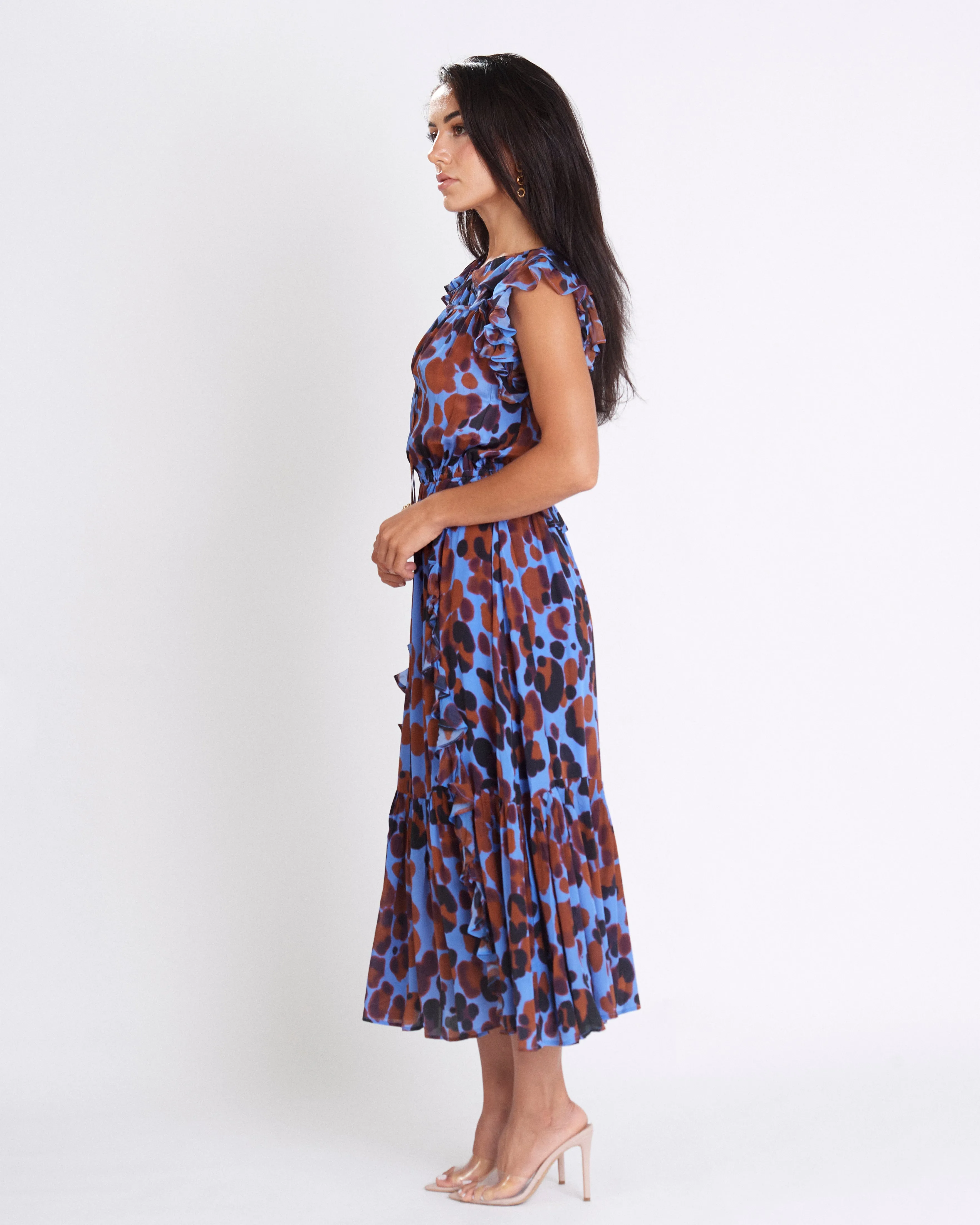 Karolina Print Midi Dress